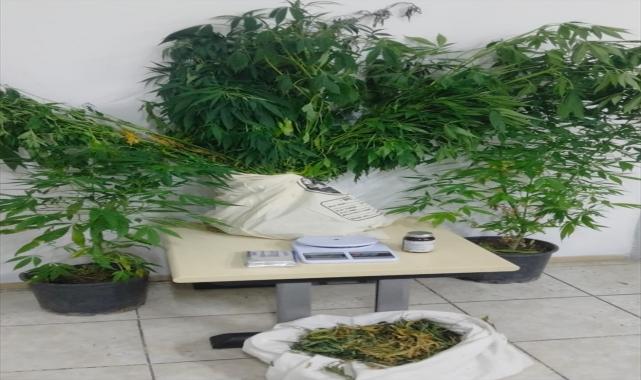Kemalpaşa'da uyuşturucu operasyonunda 1 kişi gözaltına alındı