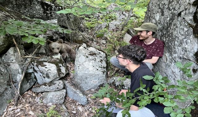 Kütahya'da yaralı bulunan ayı yavrusu tedavi altına alındı