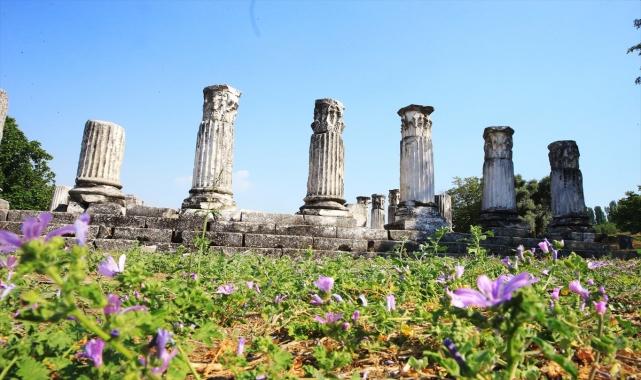 Lagina Hekate Kutsal Alanı'nda geçmişteki depremlerin izleri araştırılıyor