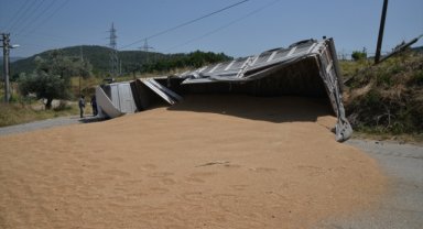 Manisa'da freni boşalan park halindeki buğday yüklü tır, devrildi