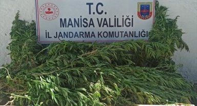 Manisa'da uyuşturucu operasyonunda 2 şüpheli gözaltına alındı