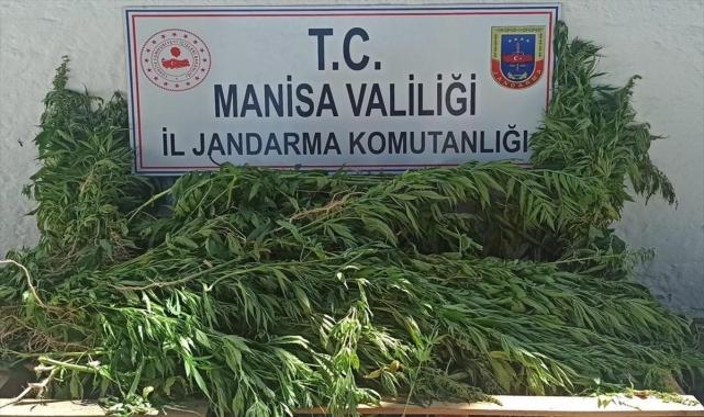Manisa'da uyuşturucu operasyonunda 2 şüpheli gözaltına alındı