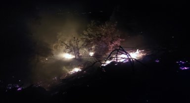 Manisa'da zeytinlik ve otluk alanda çıkan yangın kontrol altına alındı