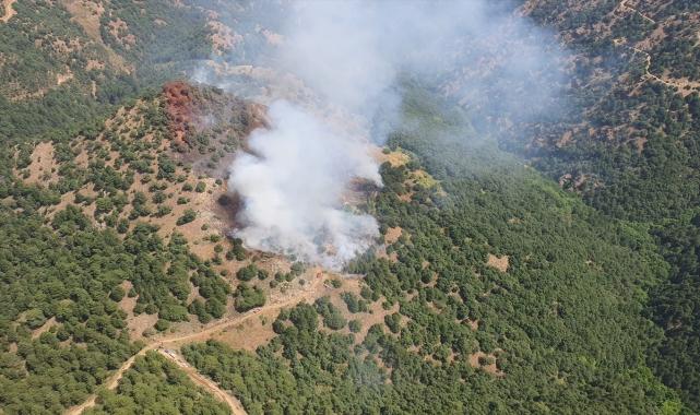 Manisa'nın Alaşehir ilçesinde orman yangını çıktı