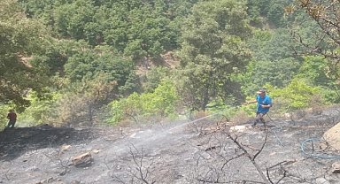 Manisa'nın Alaşehir ilçesindeki orman yangını kontrol altına alındı