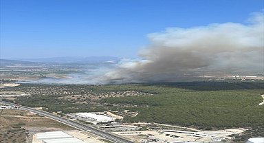 Milas-Bodrum Havalimanı yolunda ormanlık alanda çıkan yangına müdahale ediliyor