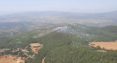Milas'ta ormanlık alanda çıkan yangın kontrol altına alındı