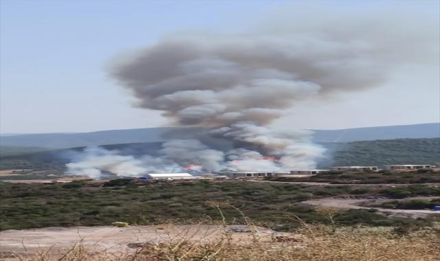 Muğla'da ormanlık alanda çıkan yangına müdahale ediliyor