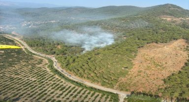 Muğla'da ormanlık alanda çıkan yangına müdahale ediliyor
