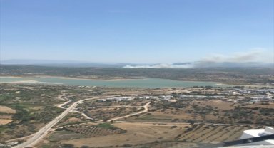 Muğla'nın Milas ilçesinde orman yangını çıktı