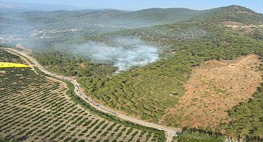 Muğla'da ormanlık alanda çıkan yangın kontrol altına alındı