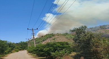 Muğla'da ormanlık alanda çıkan yangın söndürüldü