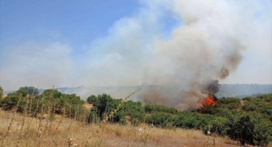 Uşak'ta meşelik alandaki yangın söndürüldü