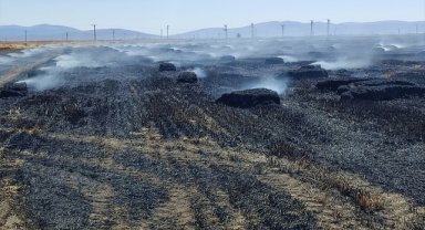 Afyonkarahisar'da 65 dekarlık tarım arazisi yangında zarar gördü