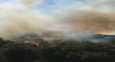 Afyonkarahisar'da çıkan orman yangınına müdahale ediliyor