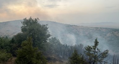 Afyonkarahisar'da orman yangını çıktı