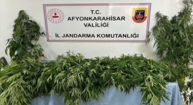 Afyonkarahisar'da uyuşturucu operasyonunda 1 kişi yakalandı