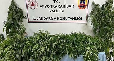 Afyonkarahisar'da uyuşturucu operasyonunda 1 kişi yakalandı