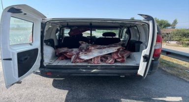 Aydın'da ele geçirilen 300 kilogram kaçak et imha edildi
