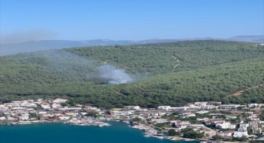 Bodrum'da çıkan orman yangınına müdahale ediliyor