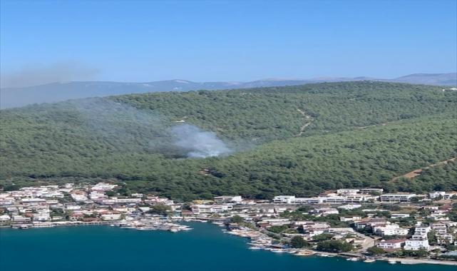 Bodrum'da çıkan orman yangınına müdahale ediliyor