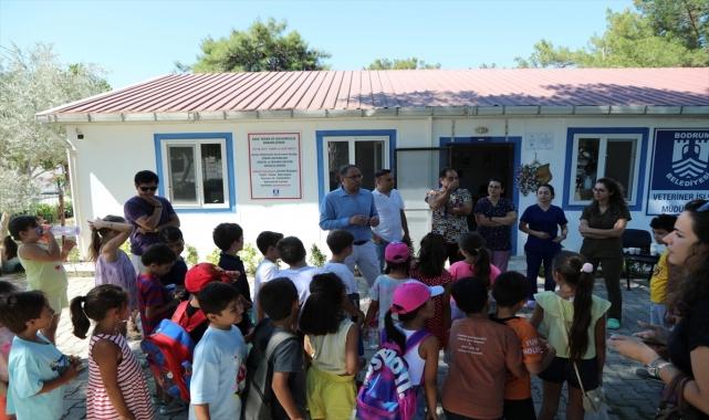 Bodrum'da öğrencilerden sokak hayvanlarına ziyaret