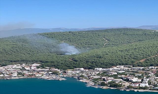 Bodrum'da çıkan orman yangını kontrol altına alındı