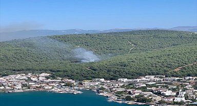 Bodrum'da çıkan orman yangını kontrol altına alındı