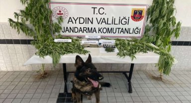 Buharkent'teki uyuşturucu operasyonunda 1 kişi yakalandı