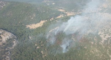 İzmir'de çıkan orman yangını kontrol altına alındı