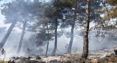 İzmir'de ormanlık alanda çıkan yangın kontrol altına alındı