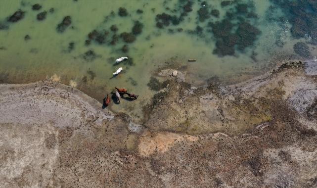 İzmir'deki Tahtalı Barajı'nda doluluk son 14 yılın en düşük seviyesinde