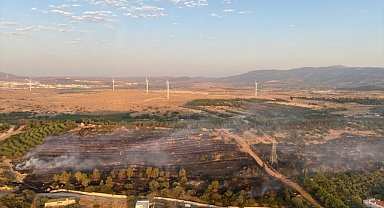 İzmir'in Aliağa ilçesinde çıkan orman yangını kontrol altına alındı