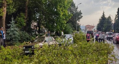 Kütahya'da fırtına nedeniyle kırılan ağaç dalları park halindeki araçlara zarar verdi