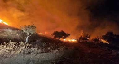 Milas'ta otluk ve zeytinlik alanda çıkan yangın söndürüldü
