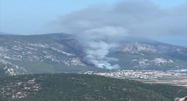 Muğla'da çıkan orman yangınına müdahale ediliyor