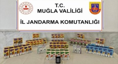 Muğla'da kaçak elektronik sigara operasyonunda 1 kişi yakalandı