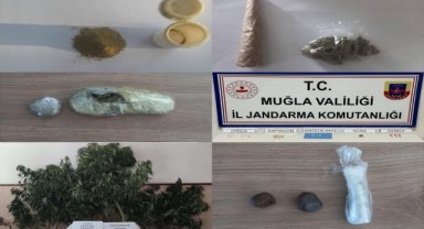 Muğla'da uyuşturucu operasyonlarında 19 zanlı yakalandı