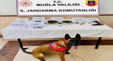 Muğla'da uyuşturucu operasyonunda 1 şüpheli yakalandı
