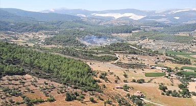 Muğla'daki orman yangını kontrol altına alındı