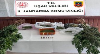 Uşak'ta bir evde 700 gram esrar ele geçirildi