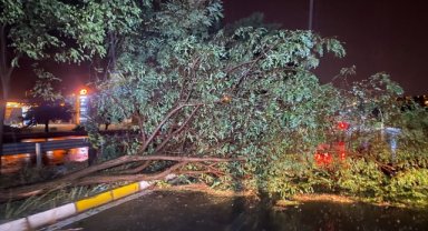 Uşak'ta fırtına ve sağanak etkili oldu