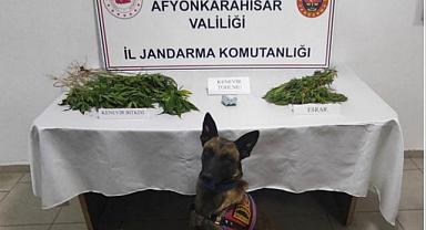 Afyonkarahisar'da uyuşturucu operasyonunda 1 şüpheli yakalandı