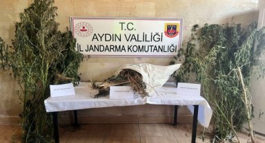 Aydın'da uyuşturucu operasyonunda 1 şüpheli gözaltına alındı
