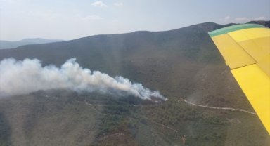 GÜNCELLEME - İzmir'de çıkan orman yangını kontrol altına alındı