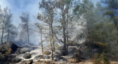 GÜNCELLEME - Muğla'da çıkan orman yangını söndürüldü