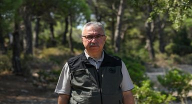 İzmir'de 4 yıl önce yanan ormanlık alana dikilen fidanlar büyüyor