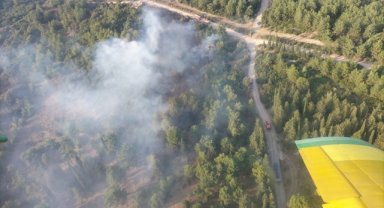 İzmir'de çıkan orman yangını kontrol altına alındı