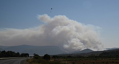İzmir'in Menderes ilçesinde orman yangını çıktı