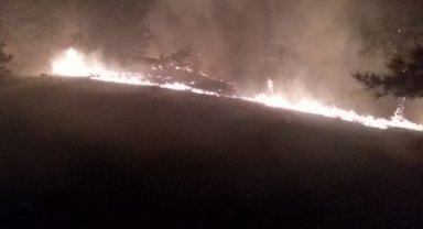 Köyceğiz'de çıkan orman yangınına müdahale ediliyor